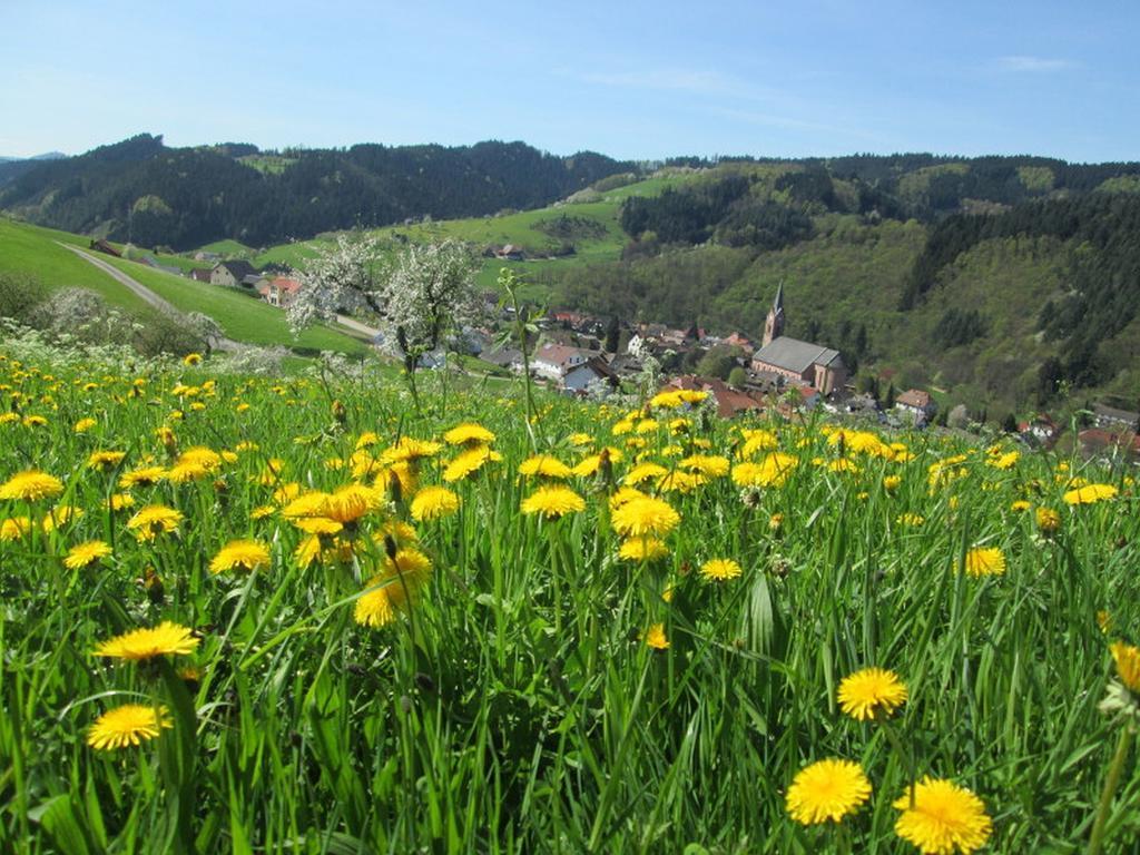 Stinneshof Oberharmersbach Exterior foto