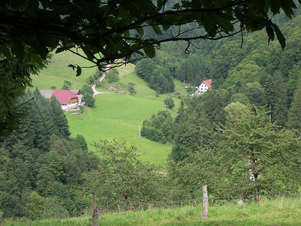 Stinneshof Oberharmersbach Exterior foto